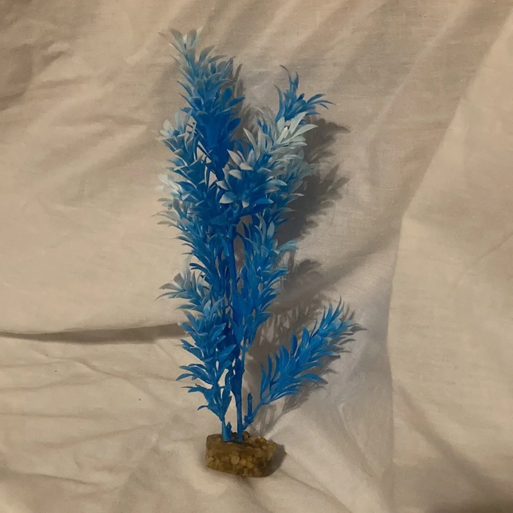 Pink and blue aquarium plants